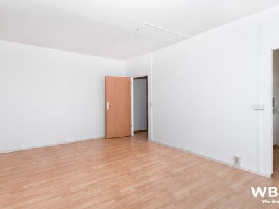 Wohnzimmer 2024 (2).jpg